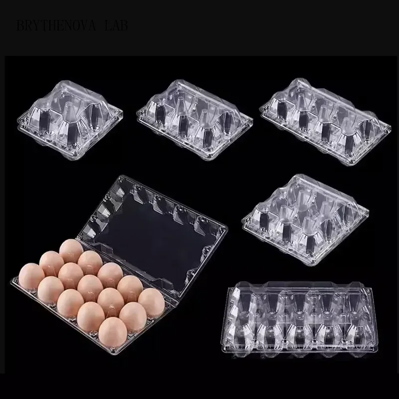 20 Stück Einweg-Plastik-Eierbo – Event Party Box Bewertung und Preis