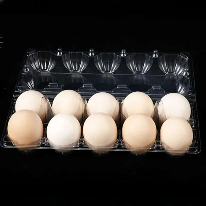 20 Stück Einweg-Plastik-Eierbo – Event Party Box Bewertung und Preis